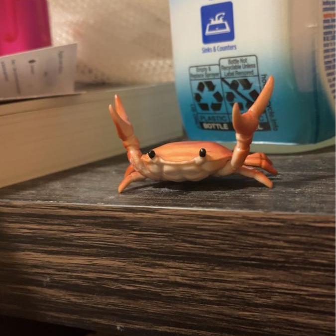 🤣 Funny Hot Sale - 🦀 Cute crab-shaped pen holder